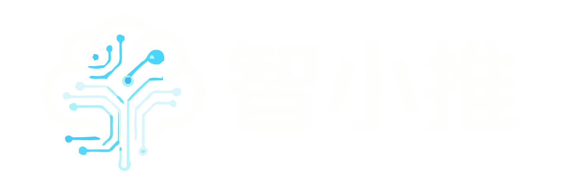 智小推 - 福建专业AI GEO优化|生成式引擎优化服务商